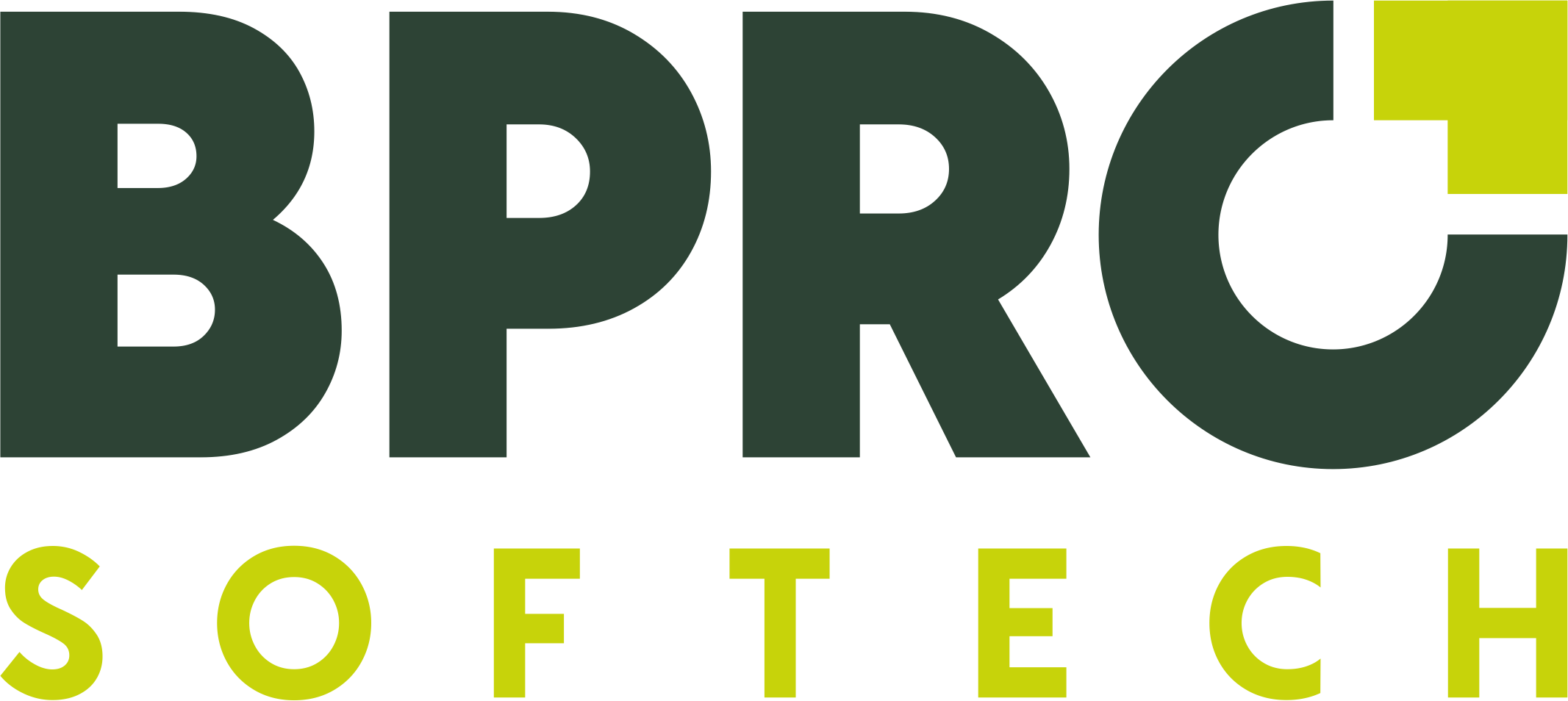 BPRO Softech Private Limited Logo